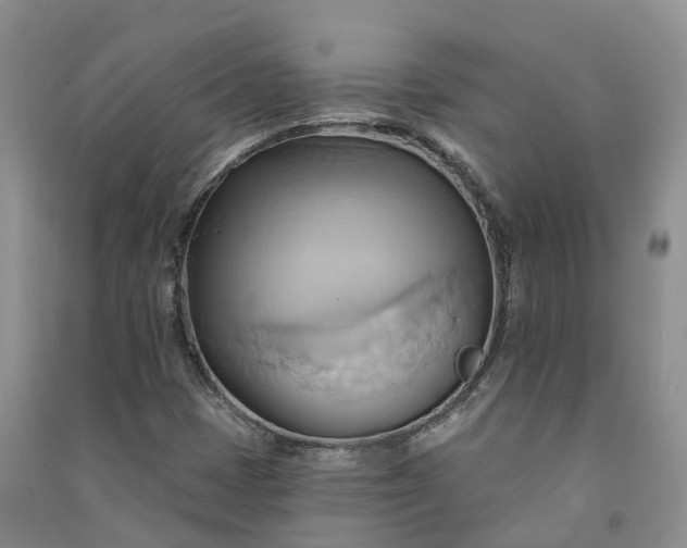 X0000090981401200708161846