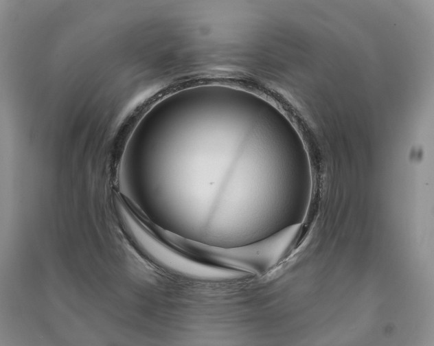 X0000090981402200708161846