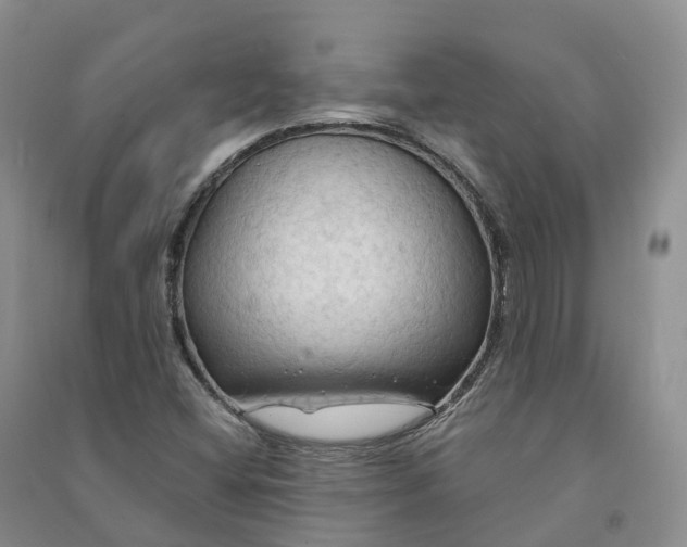X0000090981404200708161846
