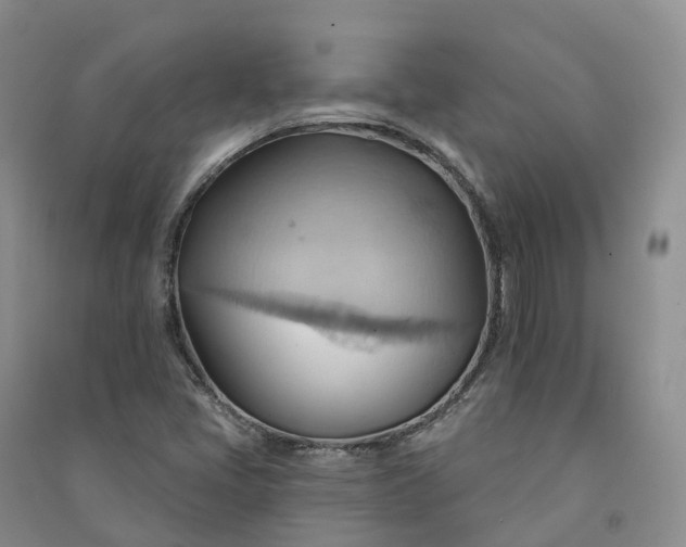 X0000090981405200708161846