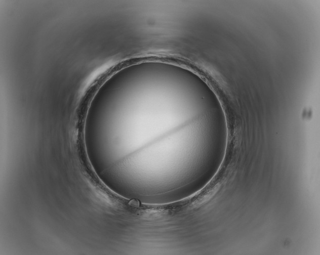 X0000090981406200708161846