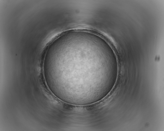 X0000090981407200708161846