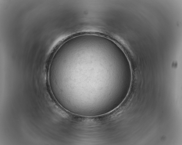 X0000090981408200708161846