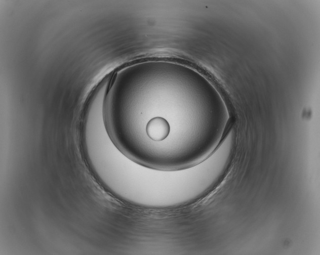 X0000090981410200708161846