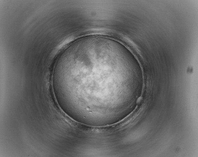 X0000090981411200708161846