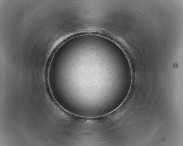 X0000090981412200708161846