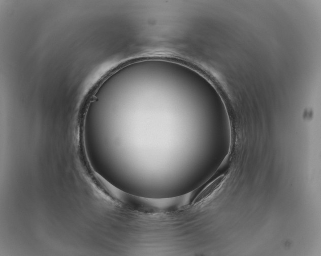 X0000090981414200708161846