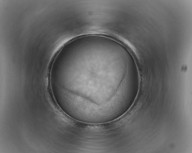 X0000090981415200708161846