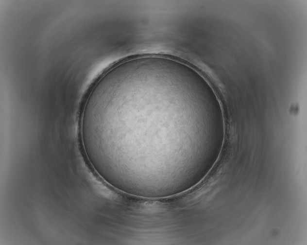 X0000090981416200708161846