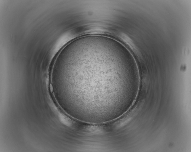 X0000090981418200708161847