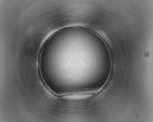 X0000090981420200708161847