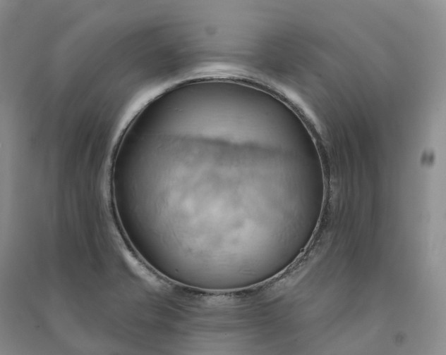 X0000090981421200708161847