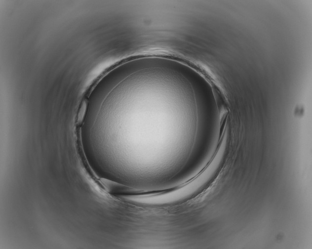 X0000090981422200708161847
