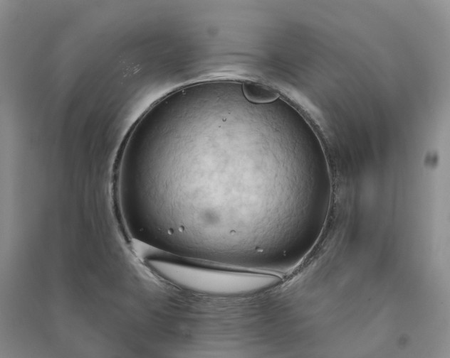 X0000090981423200708161847