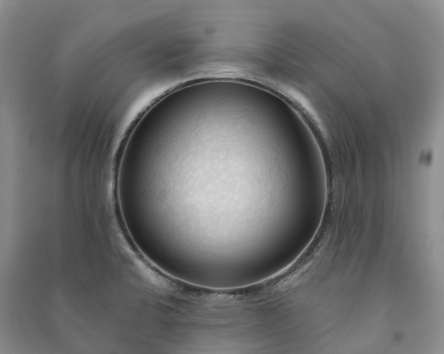 X0000090981424200708161847