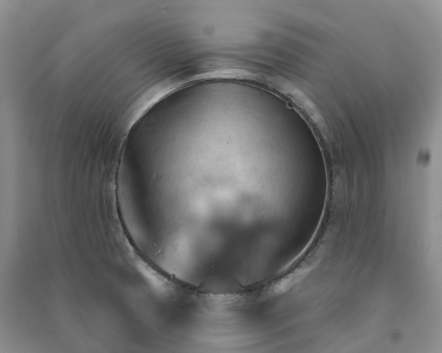 X0000090981425200708161847