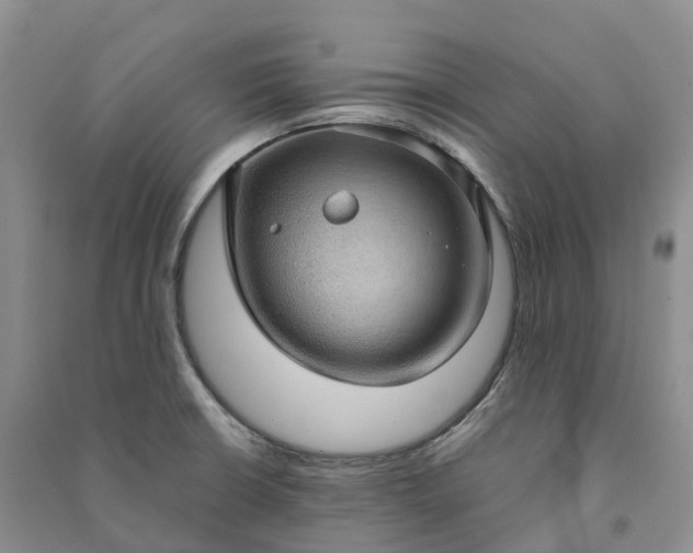 X0000090981426200708161847