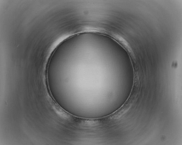 X0000090981427200708161847