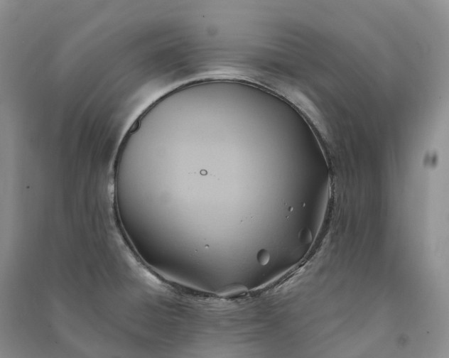X0000090981428200708161847