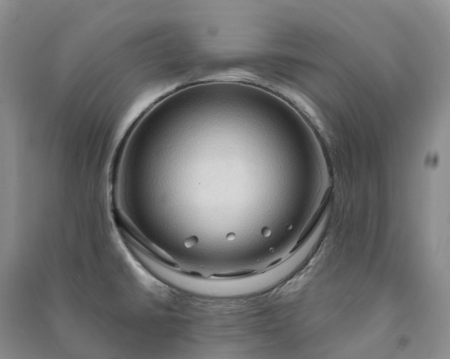 X0000090981430200708161847