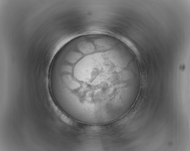 X0000090981431200708161847