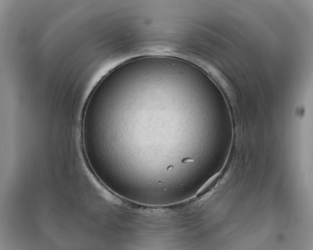 X0000090981432200708161847