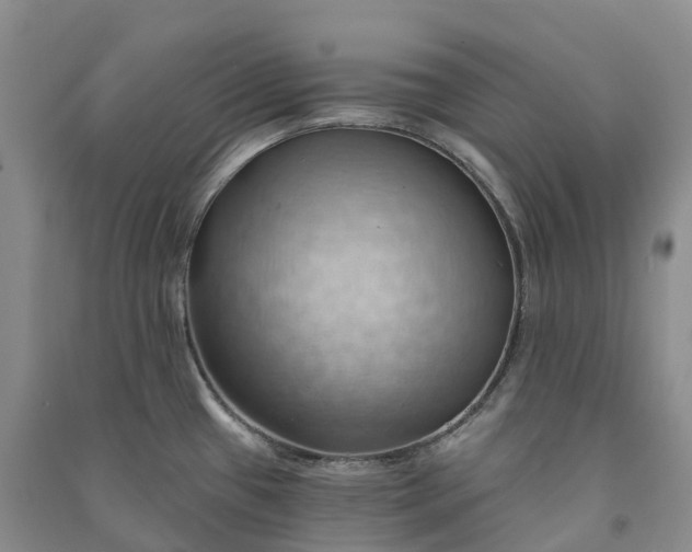 X0000090981433200708161847