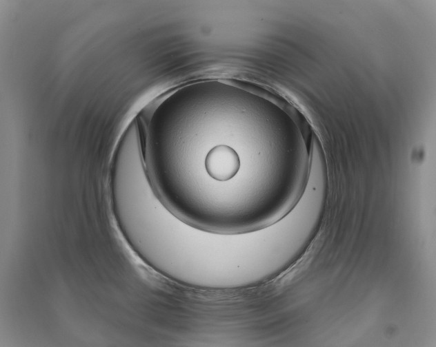 X0000090981434200708161847