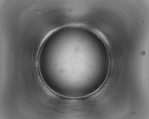 X0000090981436200708161847