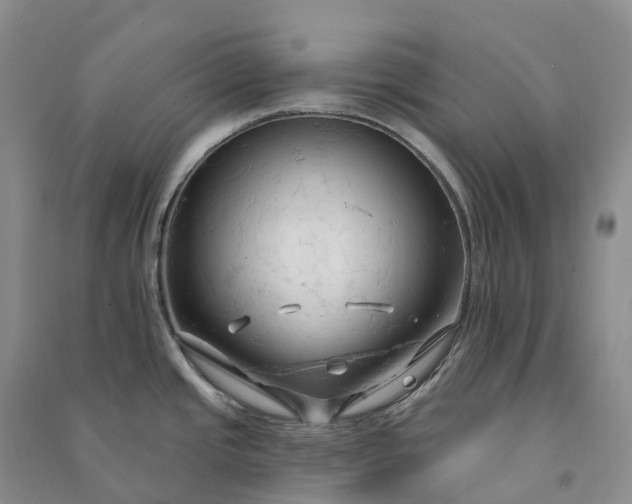 X0000090981437200708161847