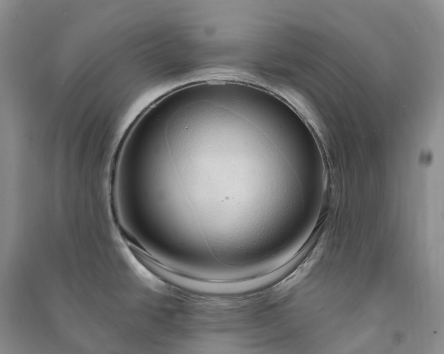 X0000090981438200708161847