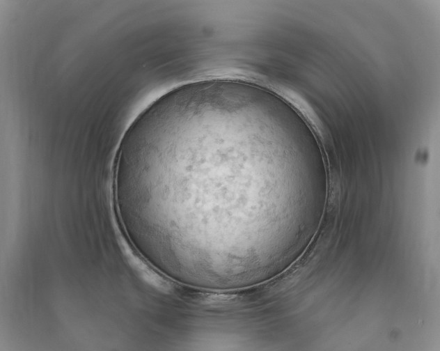 X0000090981439200708161847