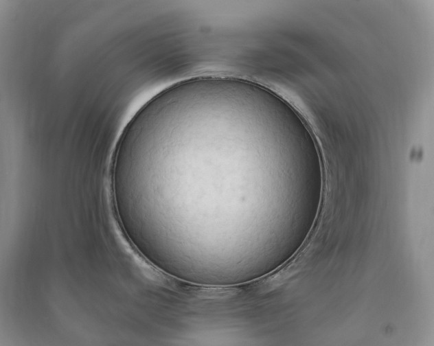 X0000090981440200708161847