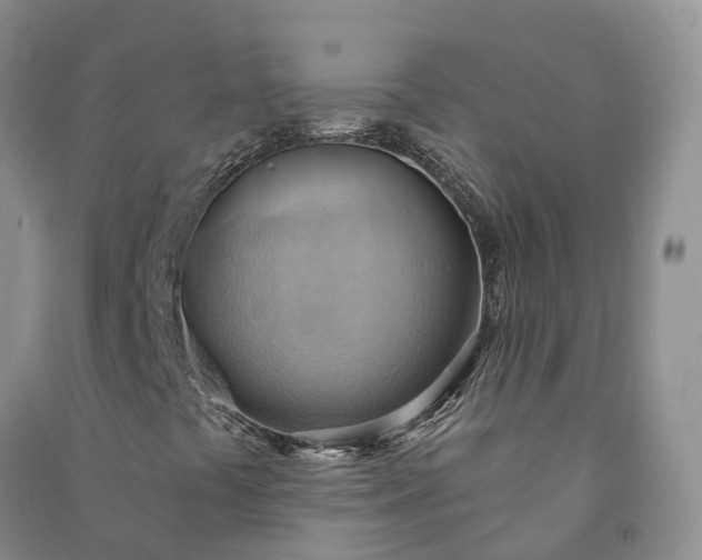 X0000090981441200708161846