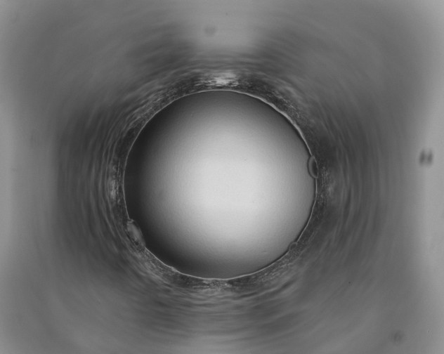 X0000090981442200708161846