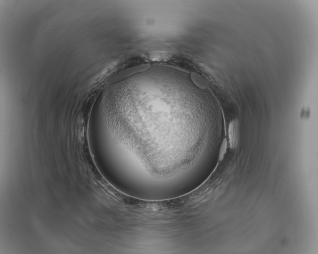 X0000090981443200708161846