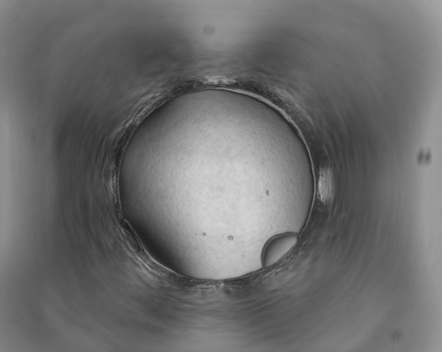 X0000090981444200708161846