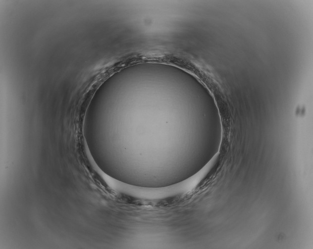 X0000090981445200708161846