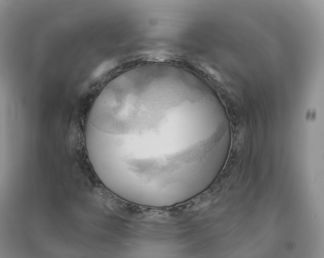 X0000090981446200708161846