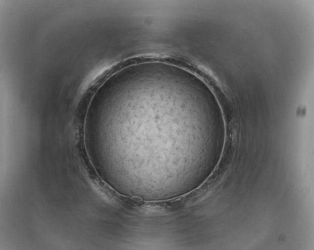 X0000090981448200708161846