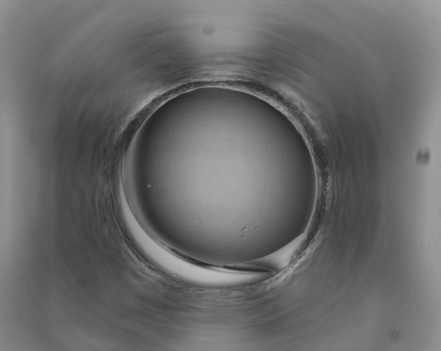 X0000090981449200708161846