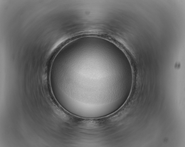X0000090981450200708161846
