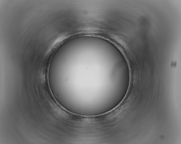 X0000090981451200708161846