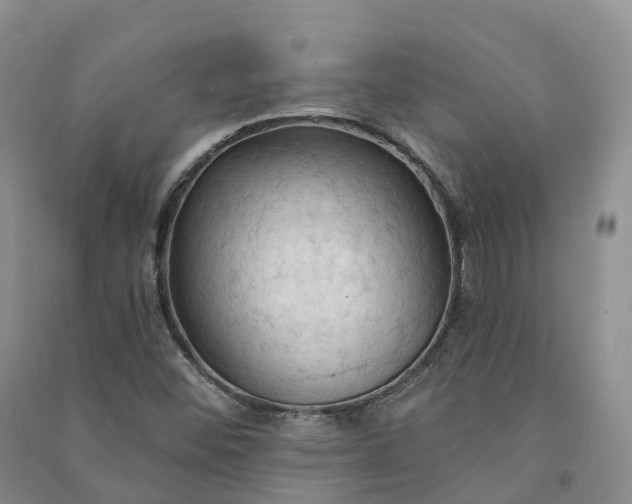 X0000090981452200708161846
