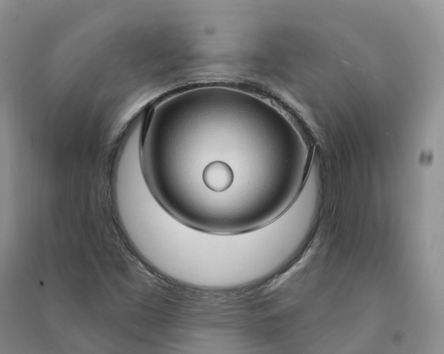 X0000090981453200708161846