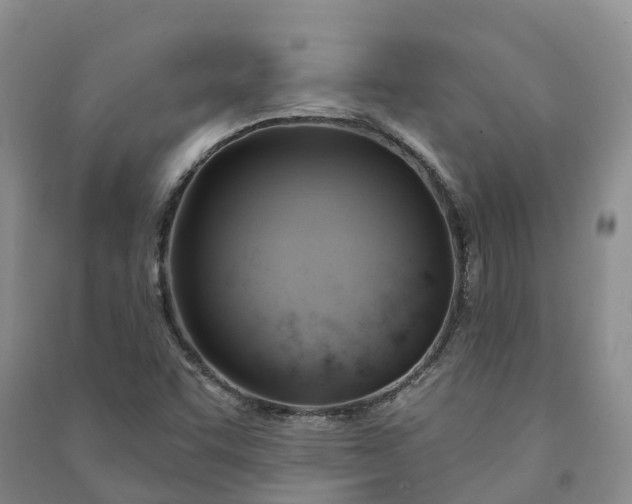 X0000090981455200708161846