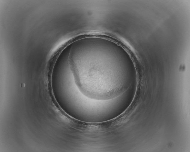 X0000090981456200708161846