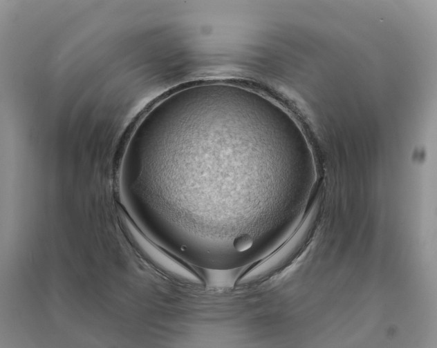 X0000090981457200708161846
