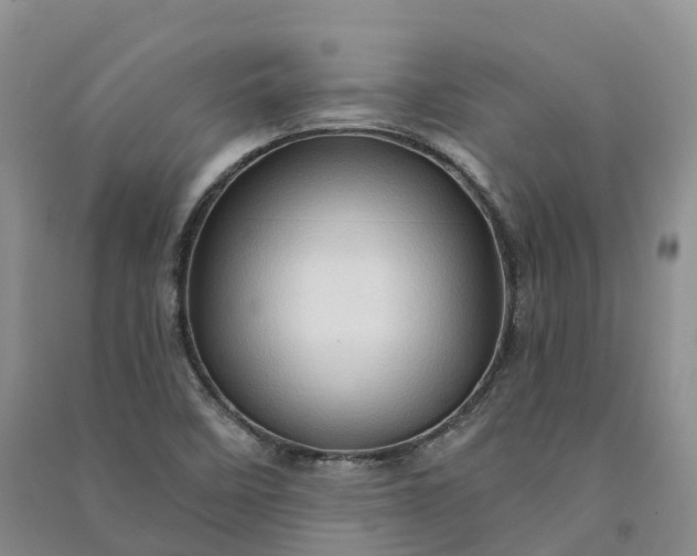 X0000090981458200708161846