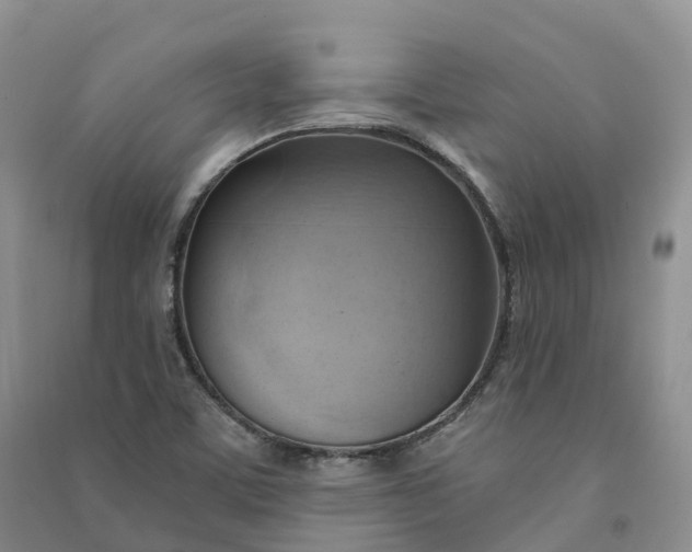 X0000090981459200708161846